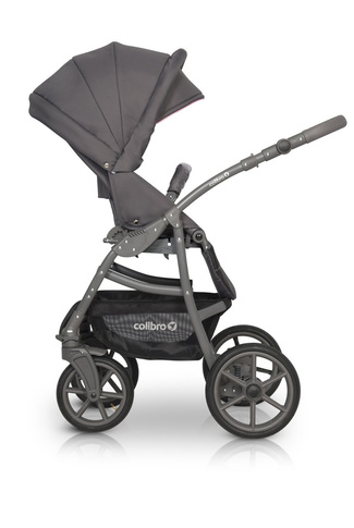 Wózek wielofunkcyjny Colibro Focus Lila 2w1