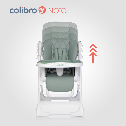 Krzesełko do karmienia 2w1 Noto AGAVA