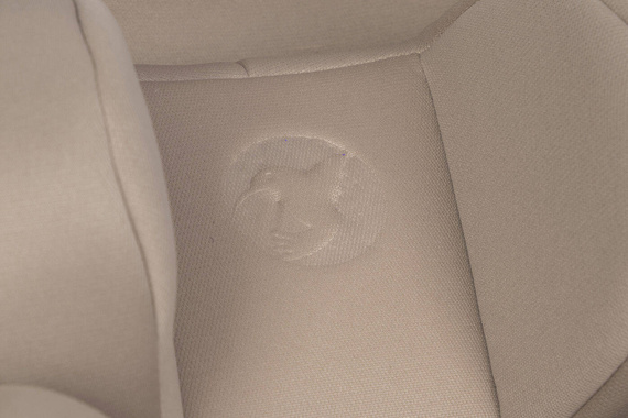 Fotelik samochodowy PETIT Camel z homologacją R129