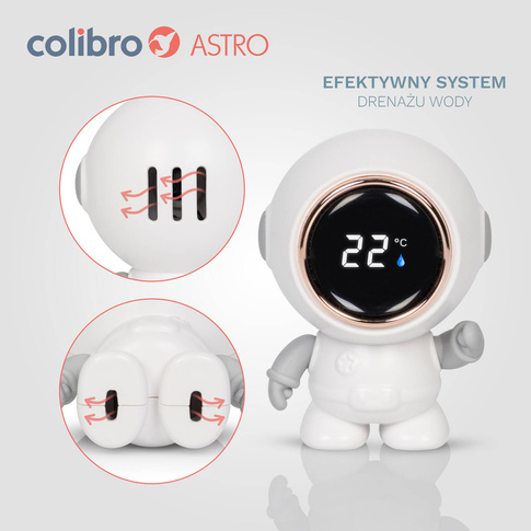 Termometr kąpielowy dla dzieci Colibro Astro 3w1