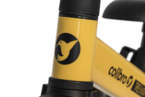 Rowerek dziecięcy 4w1 Tremix Blank