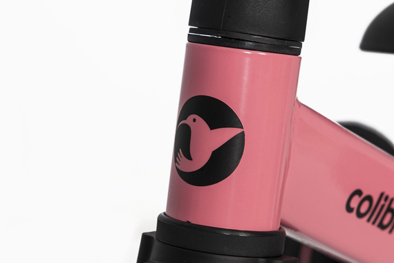 Rowerek dziecięcy 4w1 Tremix Blank