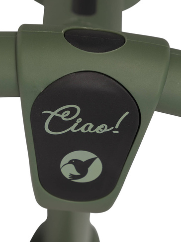 Rowerek biegowy dziecięcy Tremix CIAO z funkcją składania Forest Green